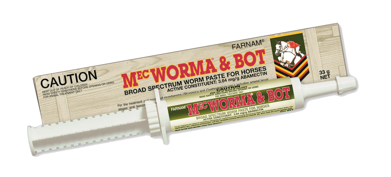 Horse Collection - Newest